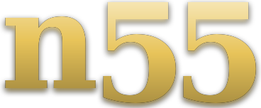 n55 logo